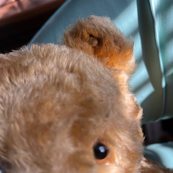 Antique Steiff Teddy Bear Blonde Mohair - Rare Excellent Condition - Picture 5 of 15